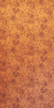 Corten Steel ACP finish