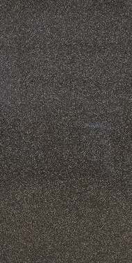 Regal Black ACP finish