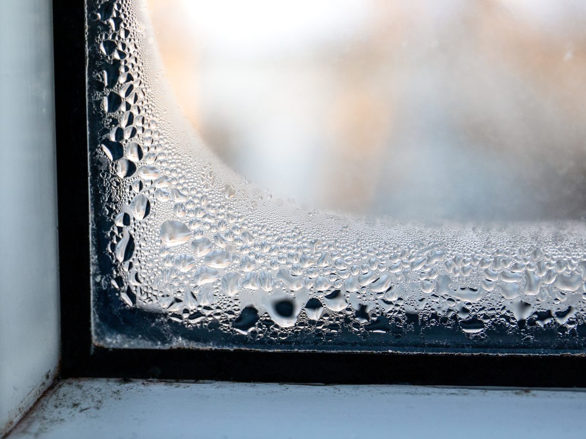 Condensation droplets and mould at the corner of a window frame